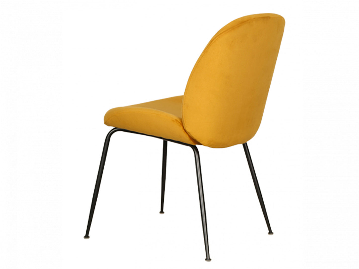 Asta Dining Chair x 2 chairs