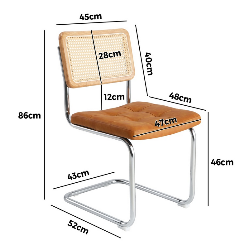 Steph Cantilever Dining Chair