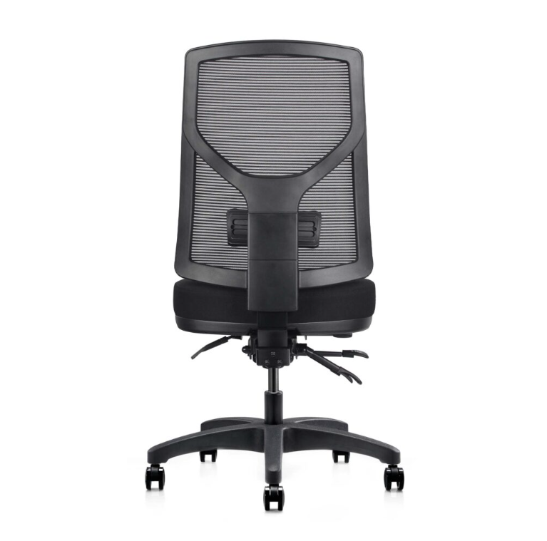 Gust Ergonomic Office Chair – 160kg Heavy Duty Capacity, 10-Year Warranty