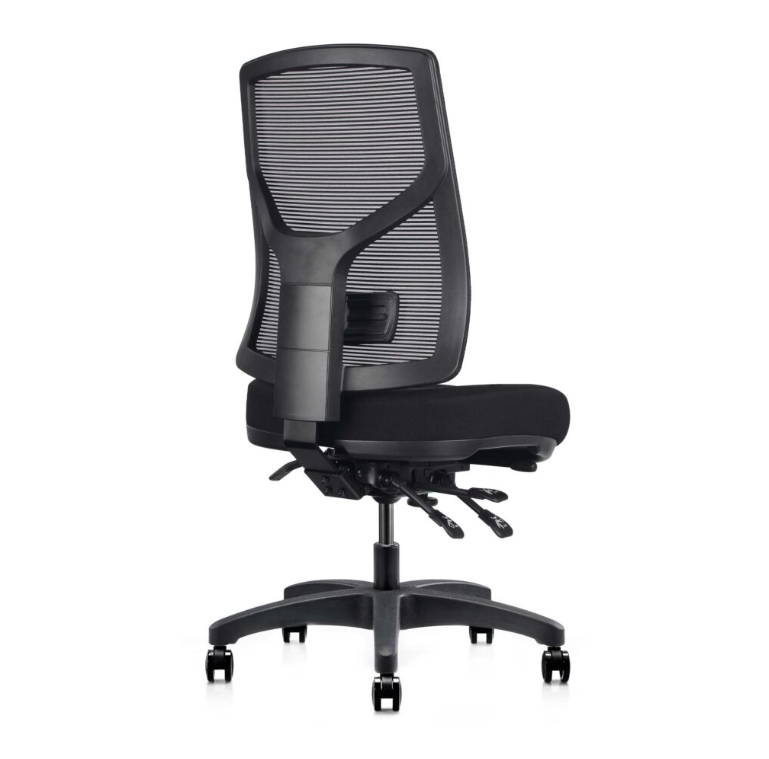 Gust Ergonomic Office Chair – 160kg Heavy Duty Capacity, 10-Year Warranty