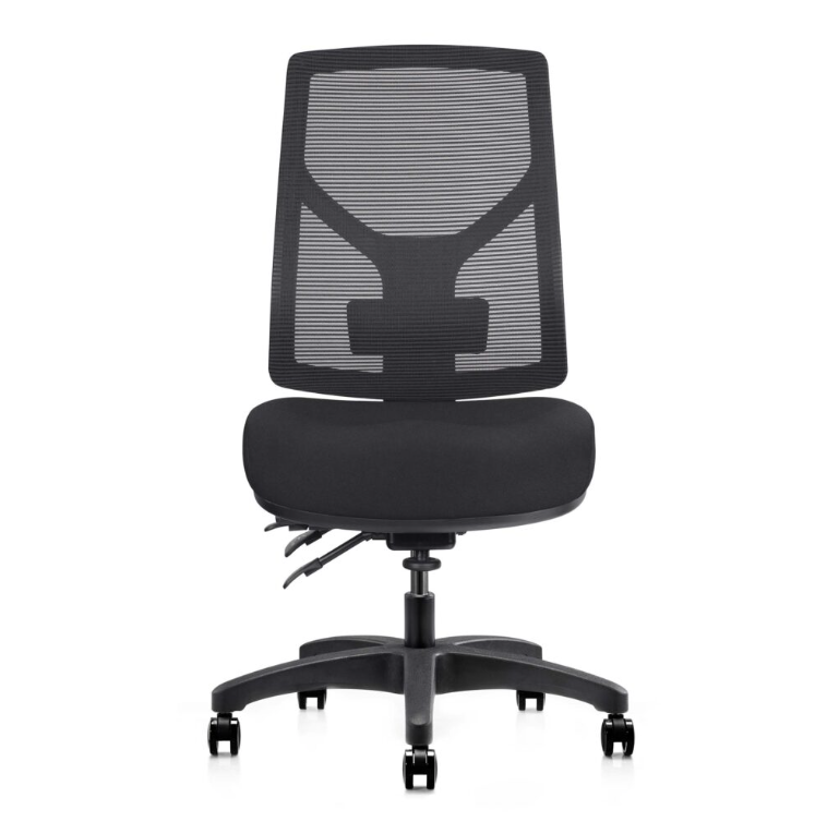 Gust Ergonomic Office Chair – 160kg Heavy Duty Capacity, 10-Year Warranty